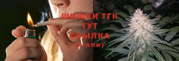 гашик Белоозёрский