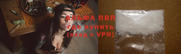 сатива Беломорск