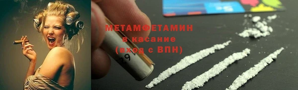 сатива Беломорск