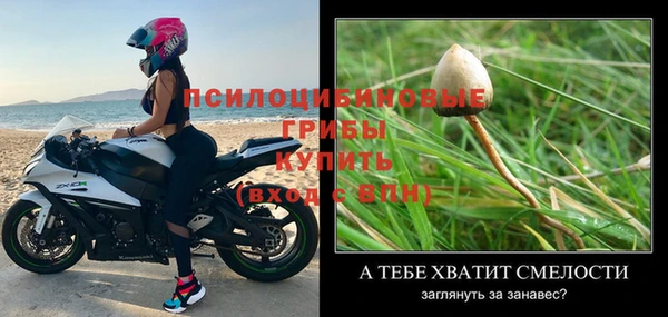 гашик Белоозёрский