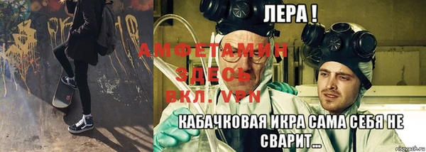 сатива Беломорск