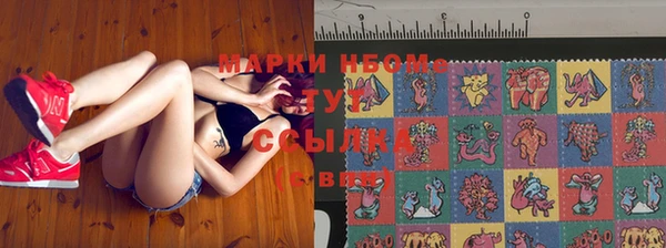 гашик Белоозёрский