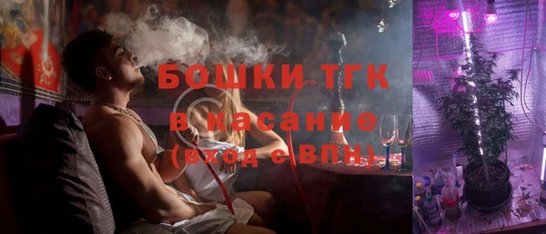 сатива Беломорск
