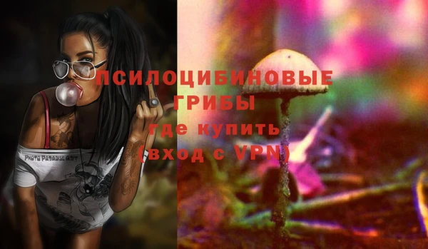 кокаин Белокуриха